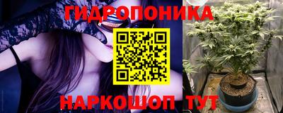 ГАЛЛЮЦИНОГЕННЫЕ ГРИБЫ Кимры
