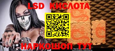 ГАЛЛЮЦИНОГЕННЫЕ ГРИБЫ Кингисепп