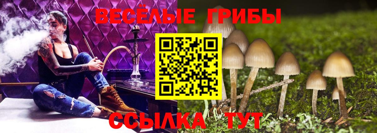 Псилоцибиновые грибы мицелий  Вход с VPN  Галлюциногенные грибы Magic Shrooms  Уссурийск 